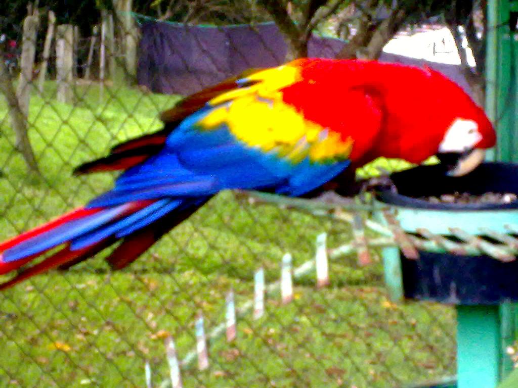 Foto de San José, Costa Rica