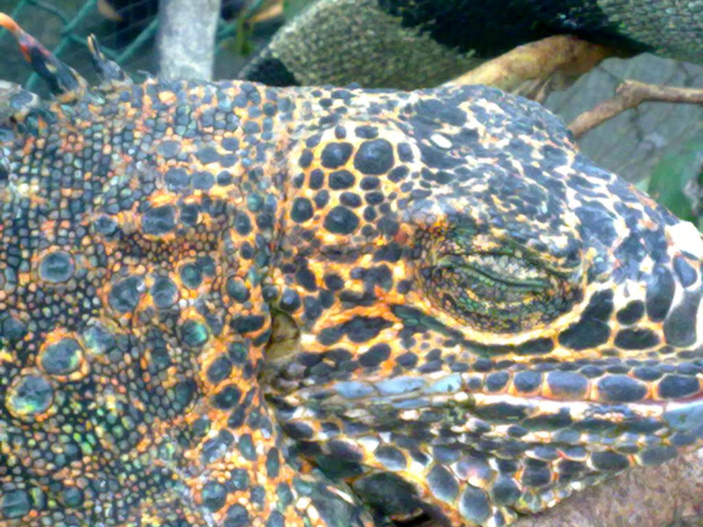 Foto de San José, Costa Rica