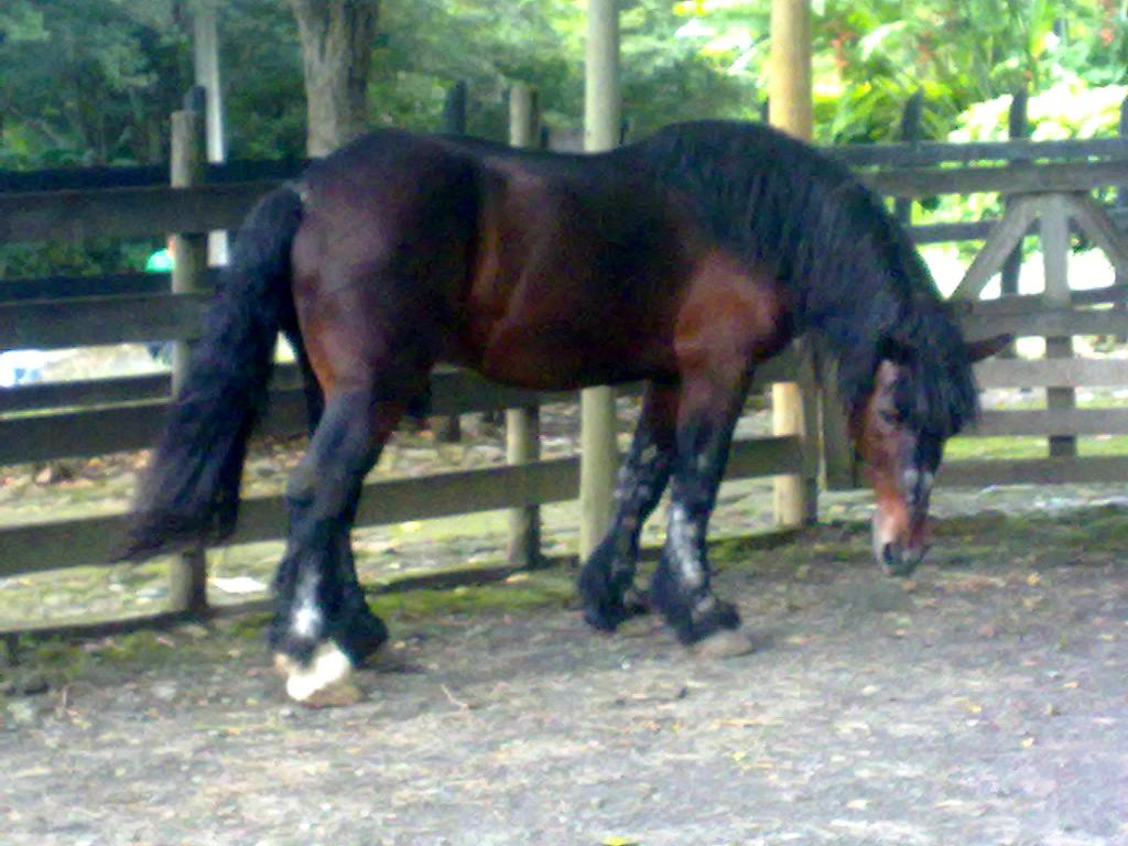 Foto de San José, Costa Rica