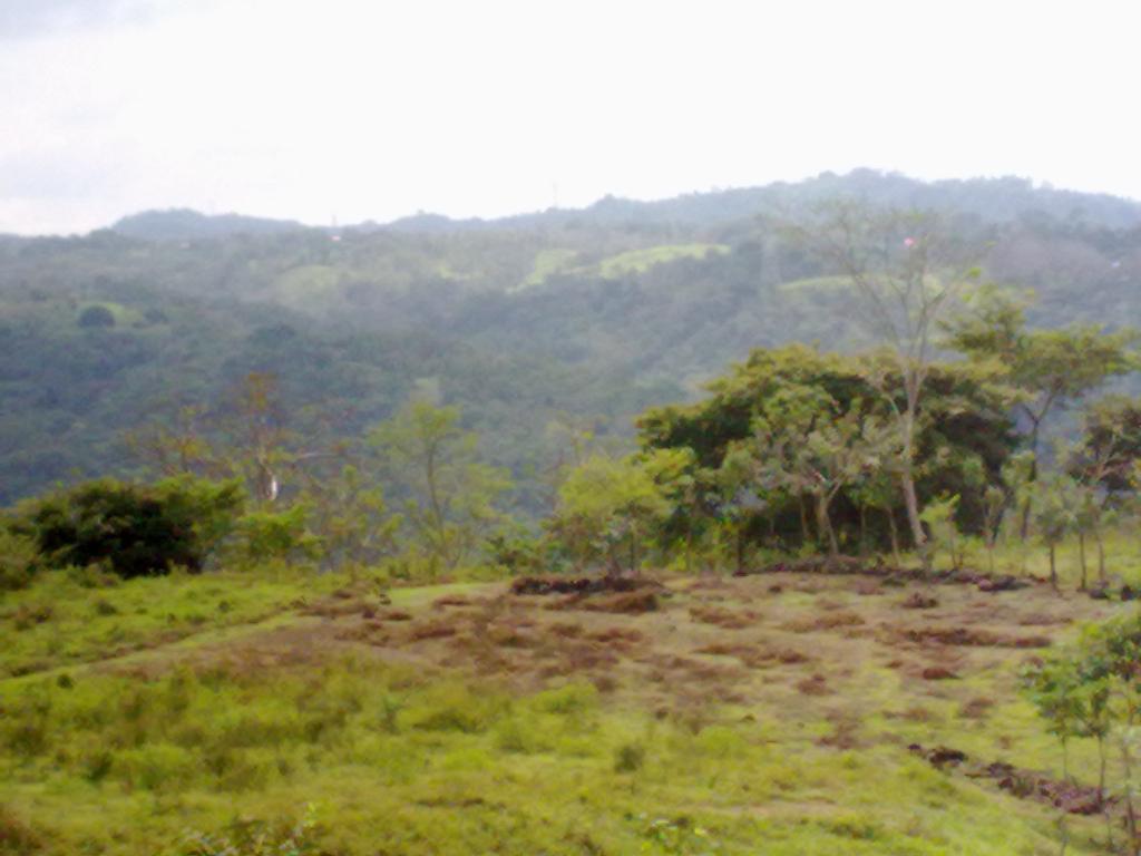 Foto de San Miguel (Puntarenas), Costa Rica