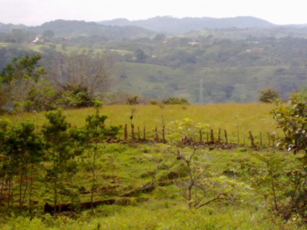 Foto de San Miguel (Puntarenas), Costa Rica