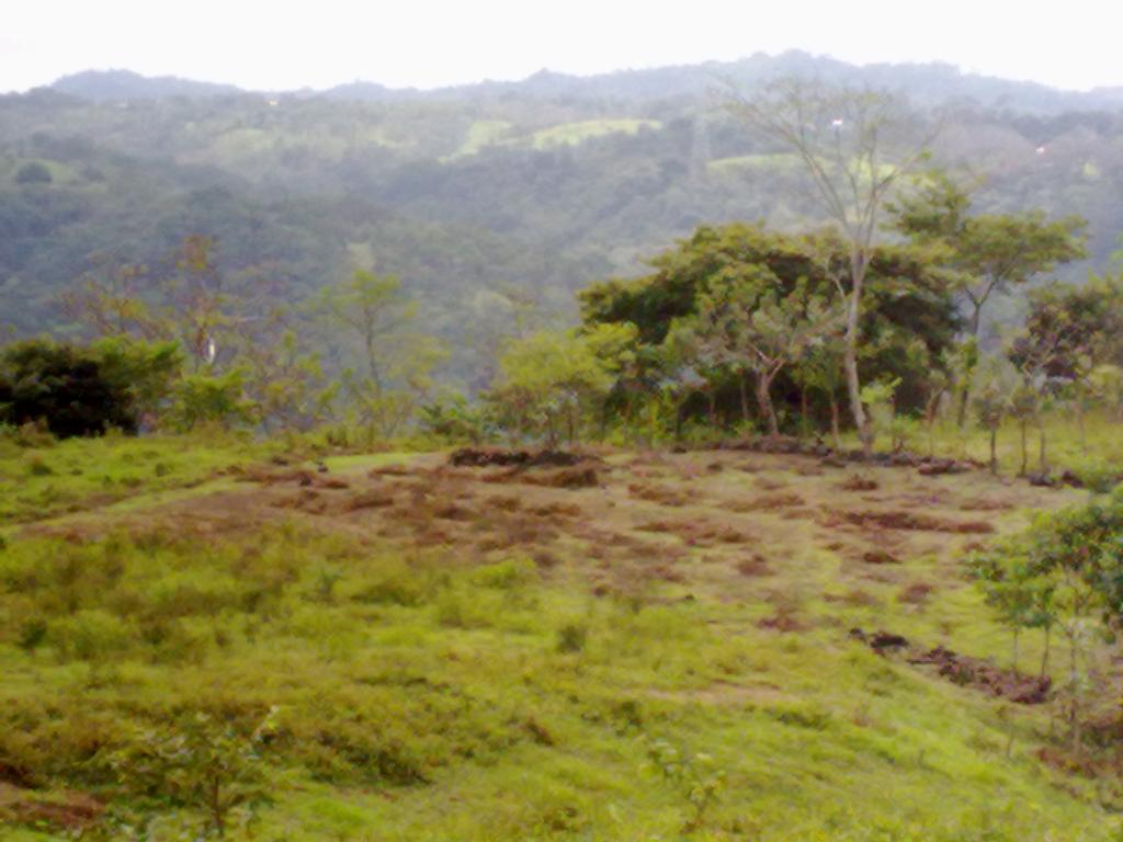 Foto de San Miguel (Puntarenas), Costa Rica