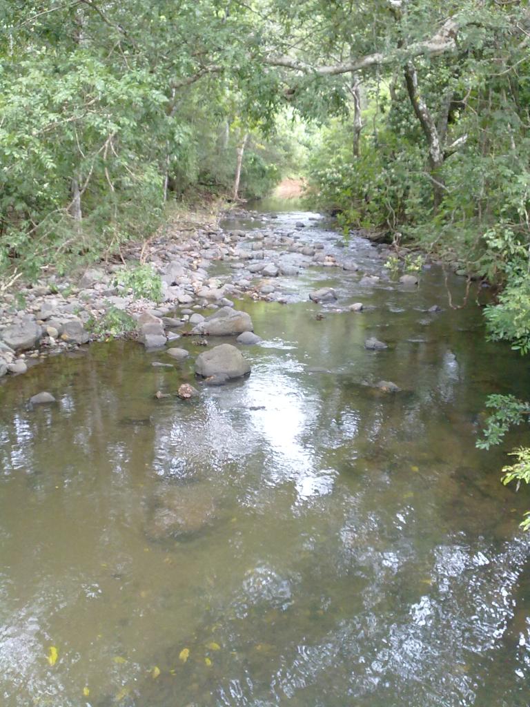 Foto de Puntarenas, Costa Rica