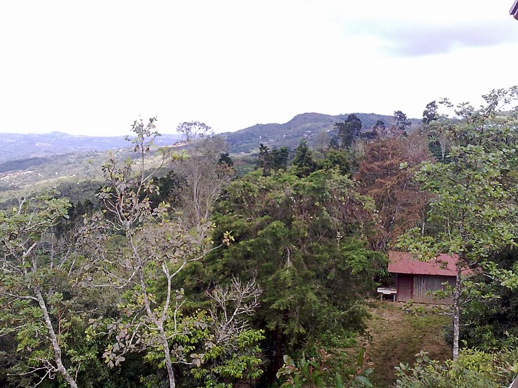 Foto de San Ramón, Costa Rica