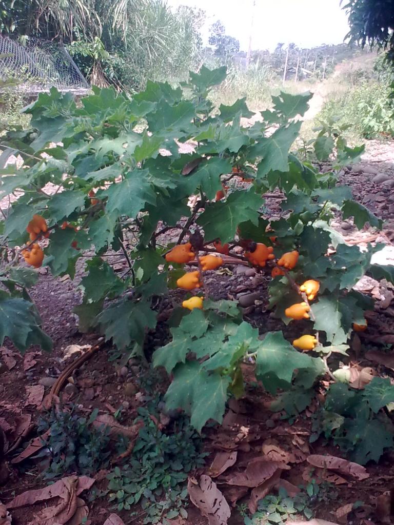 Foto de Simon Bolivar, Ecuador