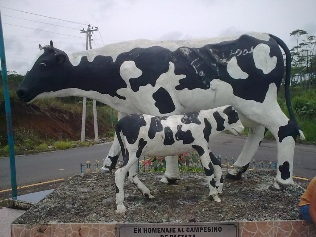 Foto de Puyo, Ecuador