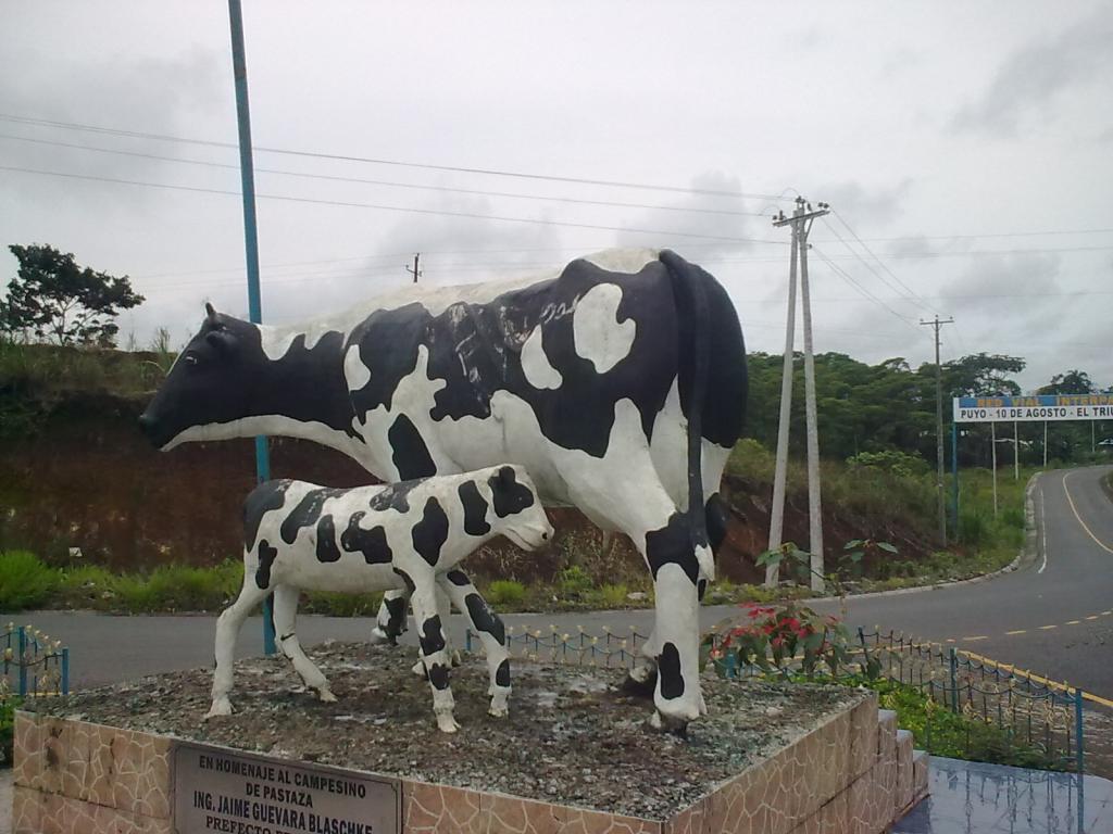 Foto de Puyo, Ecuador