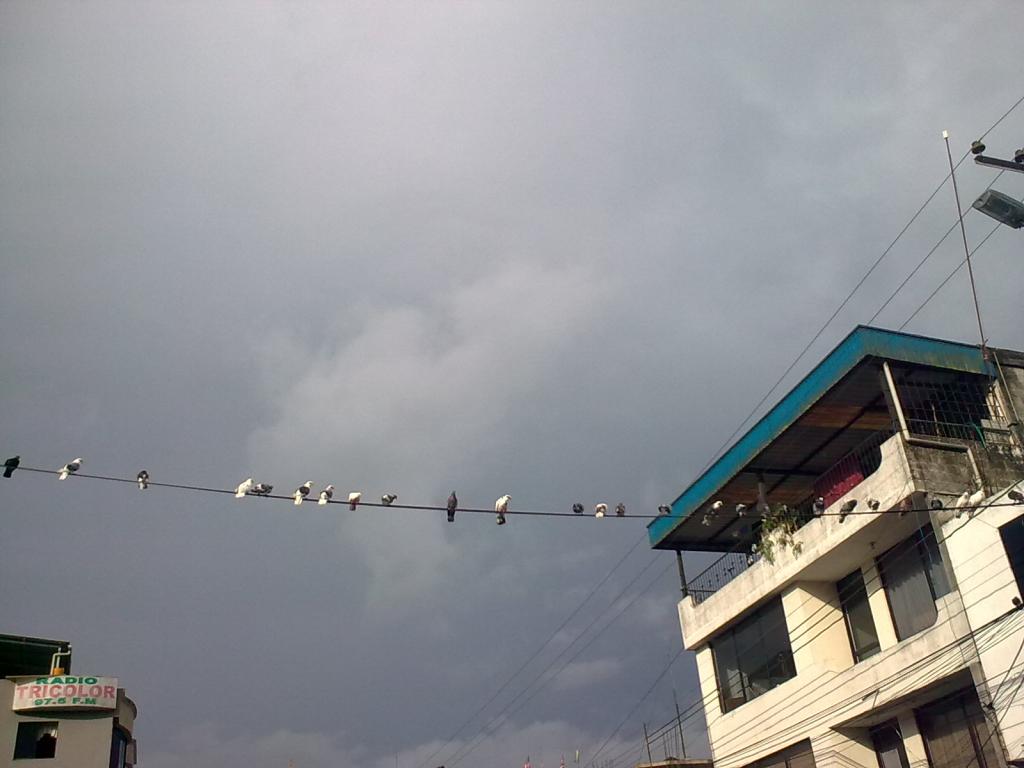 Foto de Puyo, Ecuador