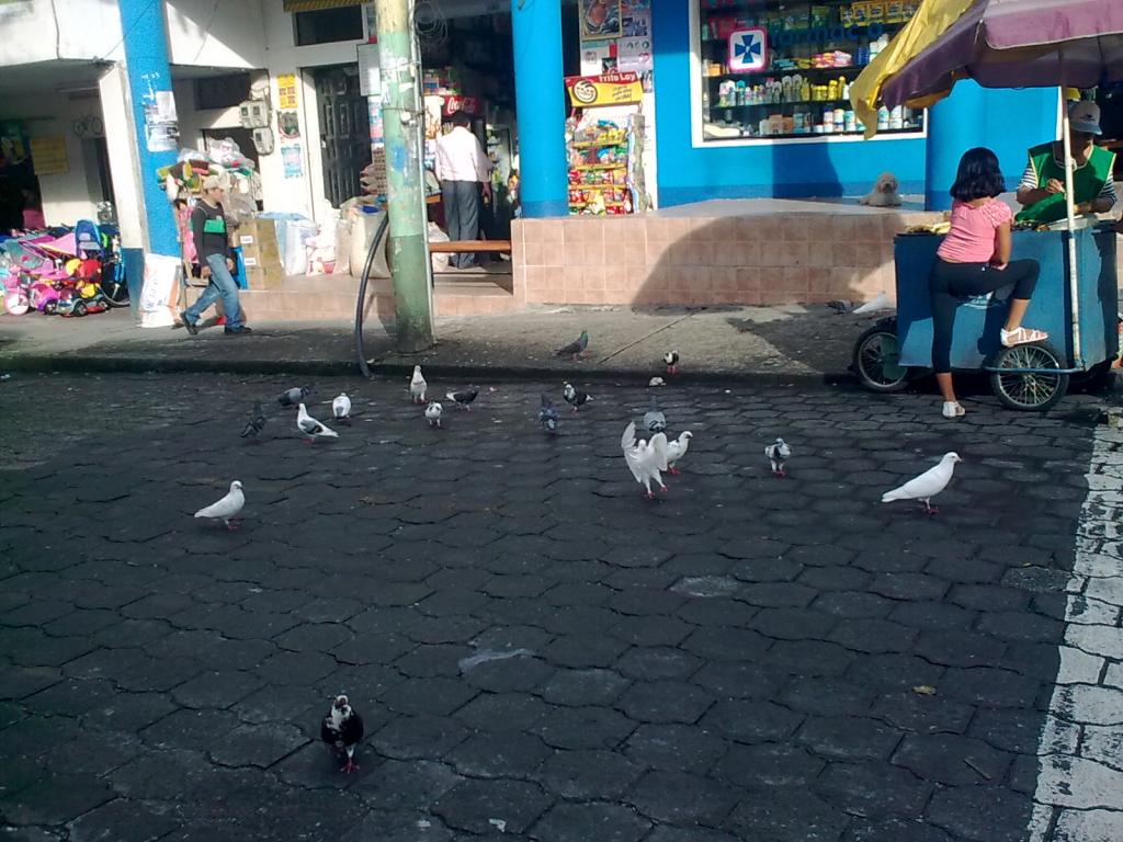 Foto de Puyo, Ecuador