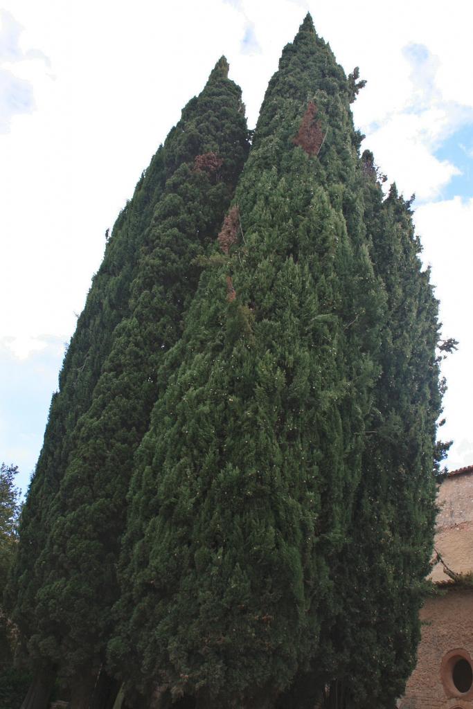 Foto de Aiguamurcia (Tarragona), España