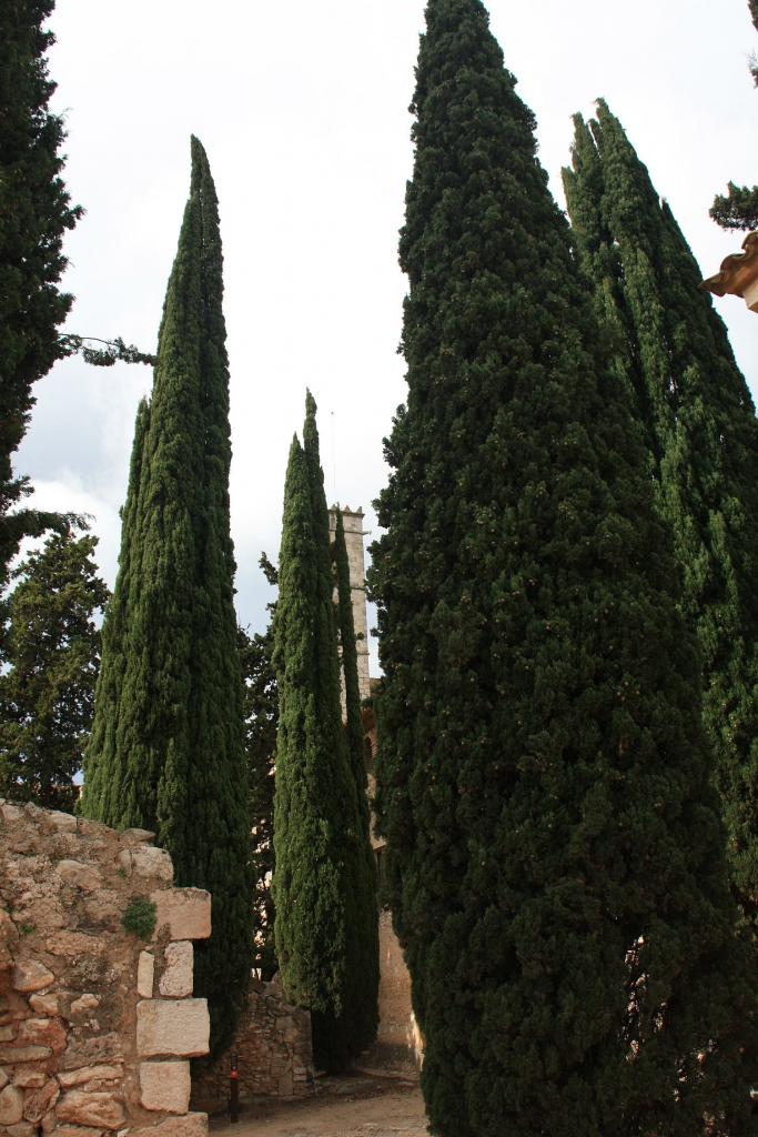 Foto de Aiguamurcia (Tarragona), España