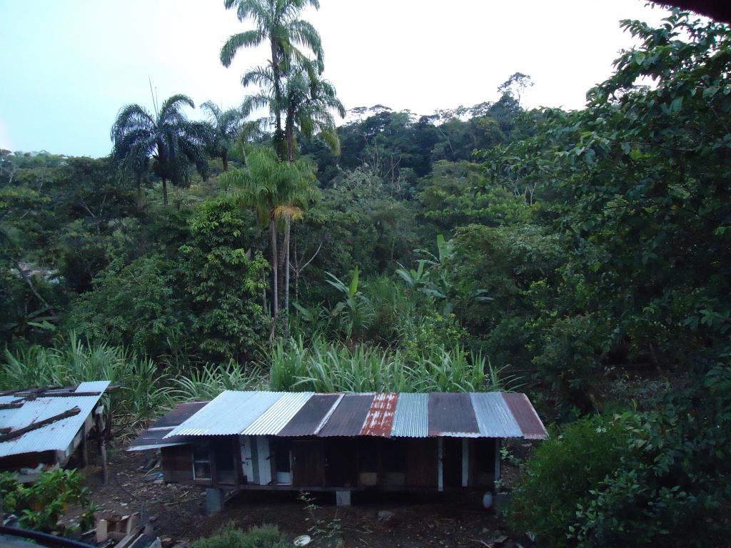 Foto de Shell, Ecuador