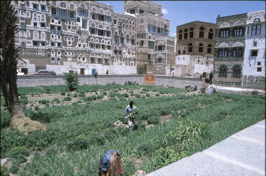 Foto de Sana'a, Yemen