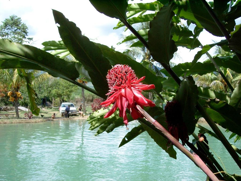 Foto de Villarica, Perú