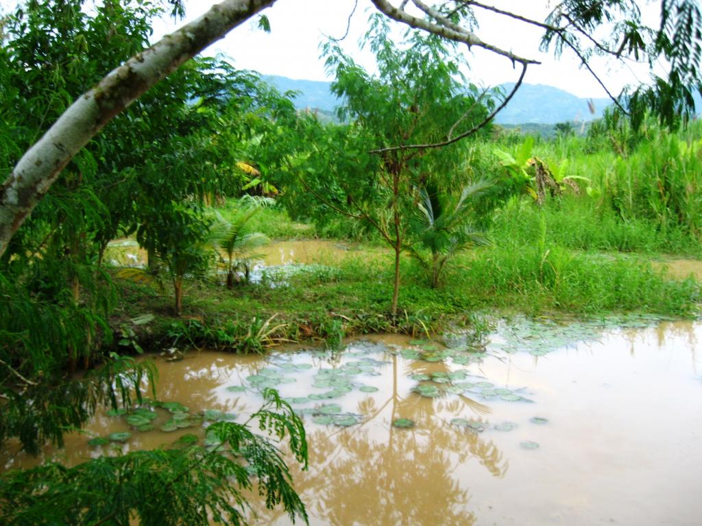 Foto de Villarica, Perú