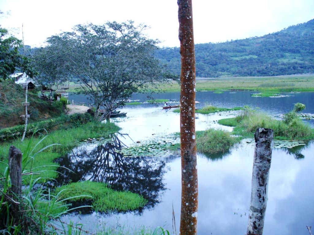 Foto de Villarica, Perú