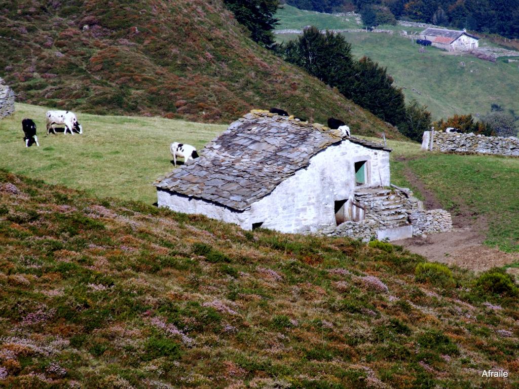 Foto de Portilllo de la Sia (Cantabria), España