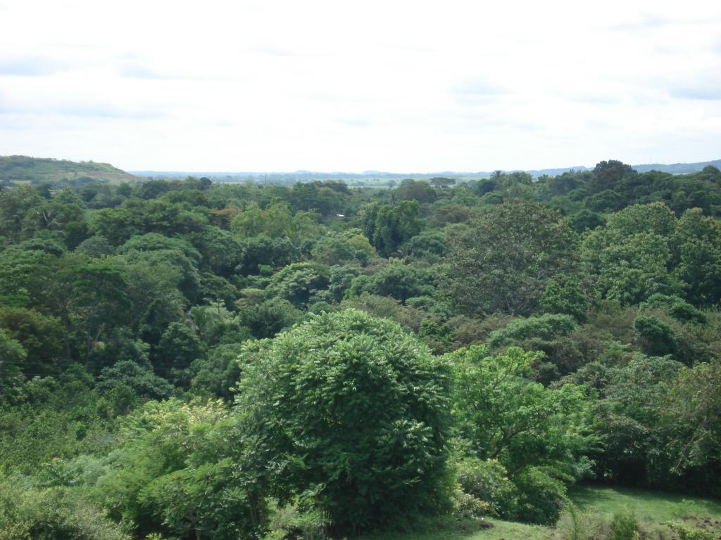 Foto de Llano de la cruz, Panamá