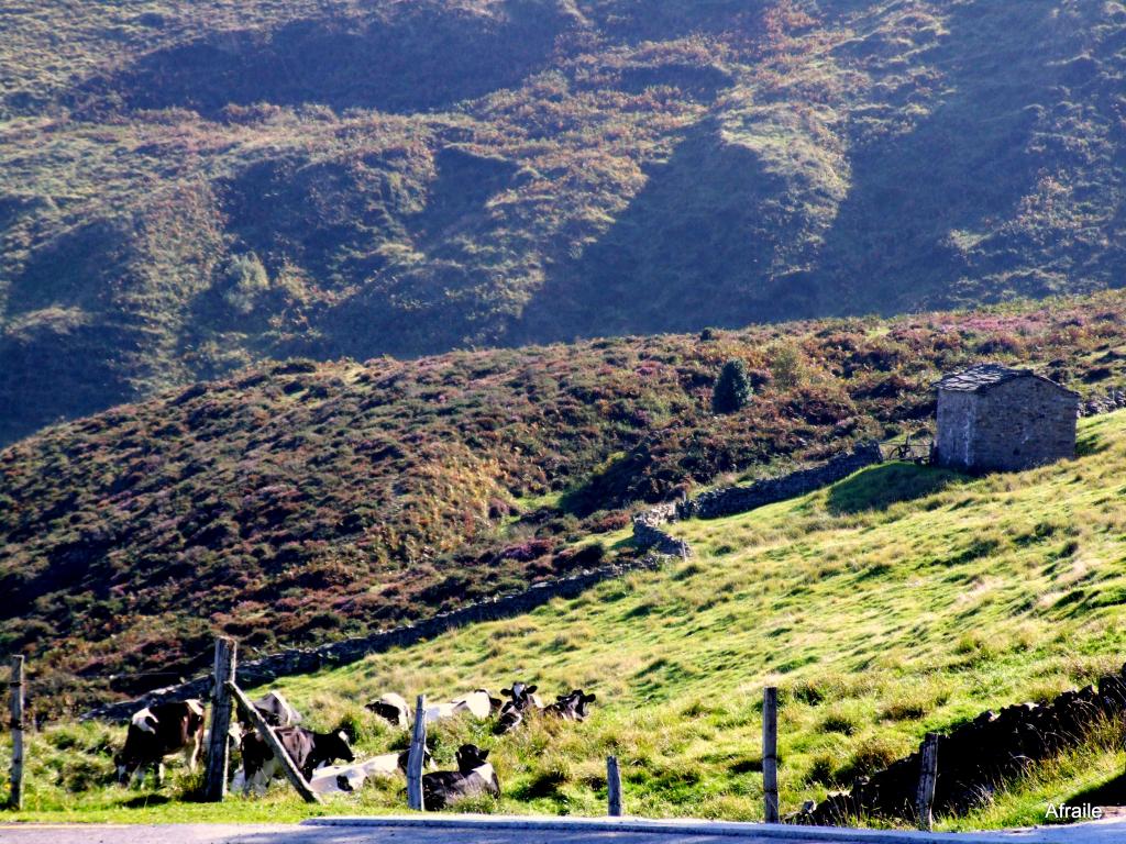 Foto de Portillo de la Sia (Cantabria), España