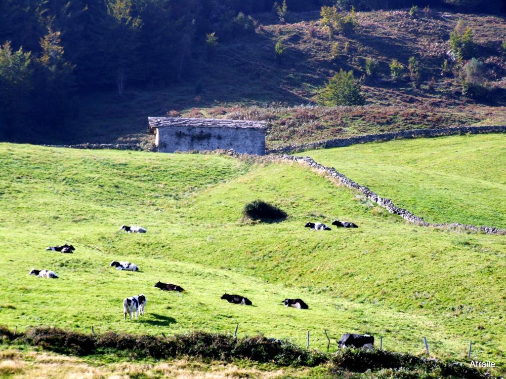 Foto de Portillo de la Sia (Cantabria), España