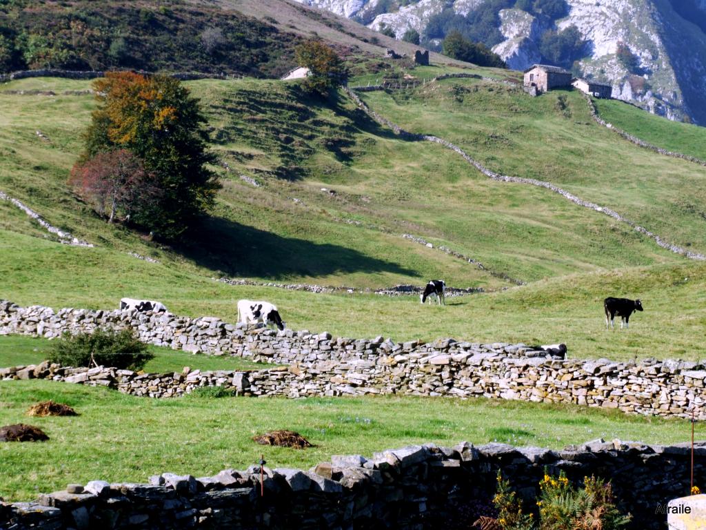 Foto de Portillo de la Sia (Cantabria), España