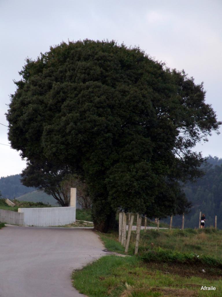 Foto de Prezanes (Cantabria), España