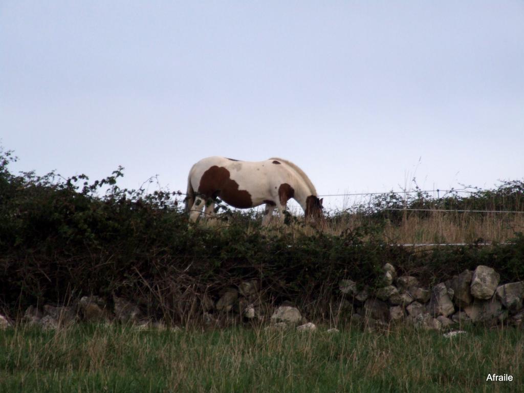 Foto de Prezanes (Cantabria), España