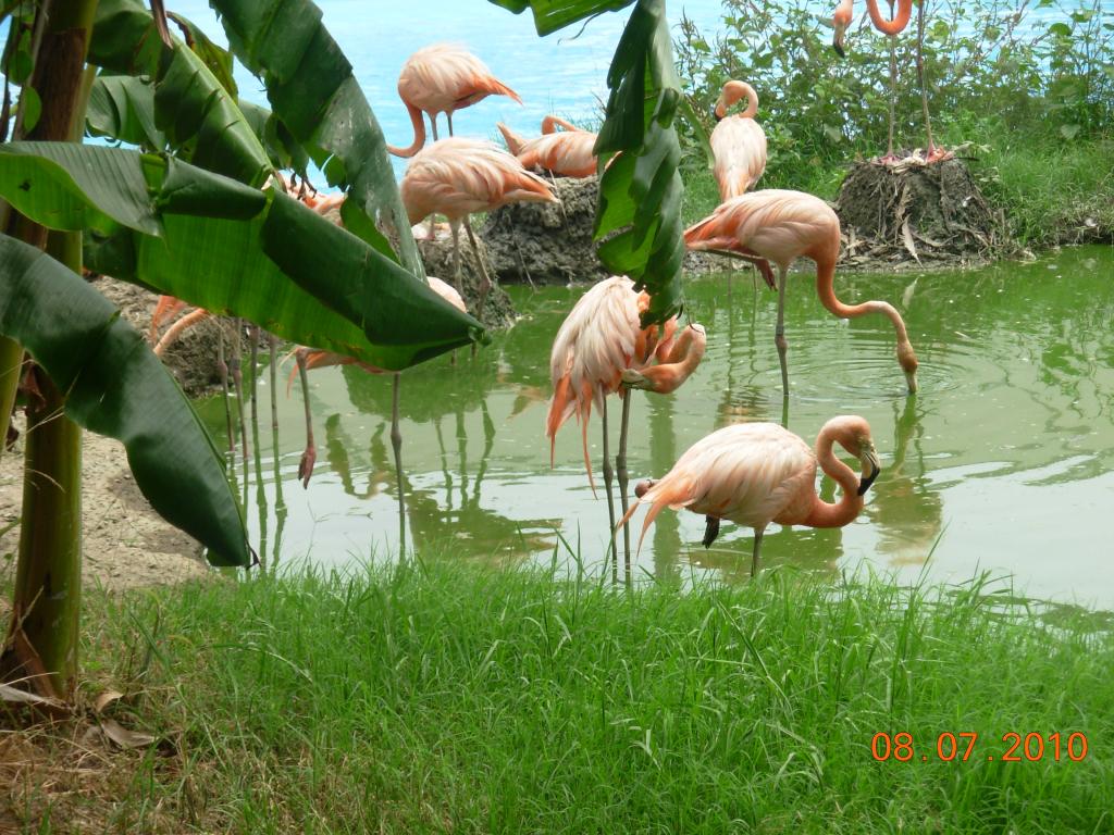 Foto de Huelva (Andalucía), España