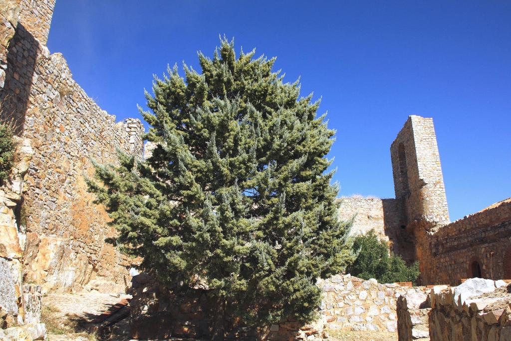 Foto de Aldea del Rey (Ciudad Real), España