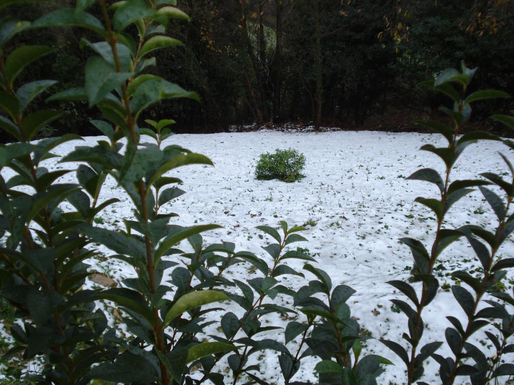 Foto de Riocabo (tapia de casraiego) (Asturias), España