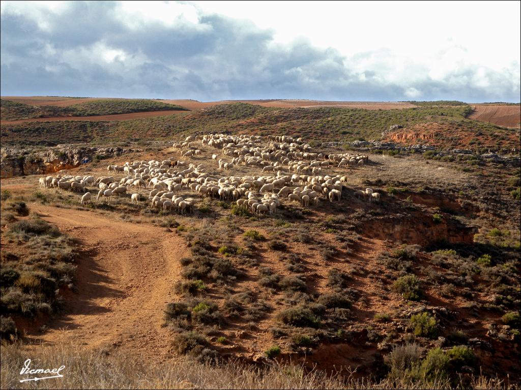 Foto de Santa María de Huerta (Soria), España