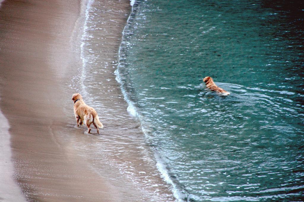 Foto de Begur (Girona), España