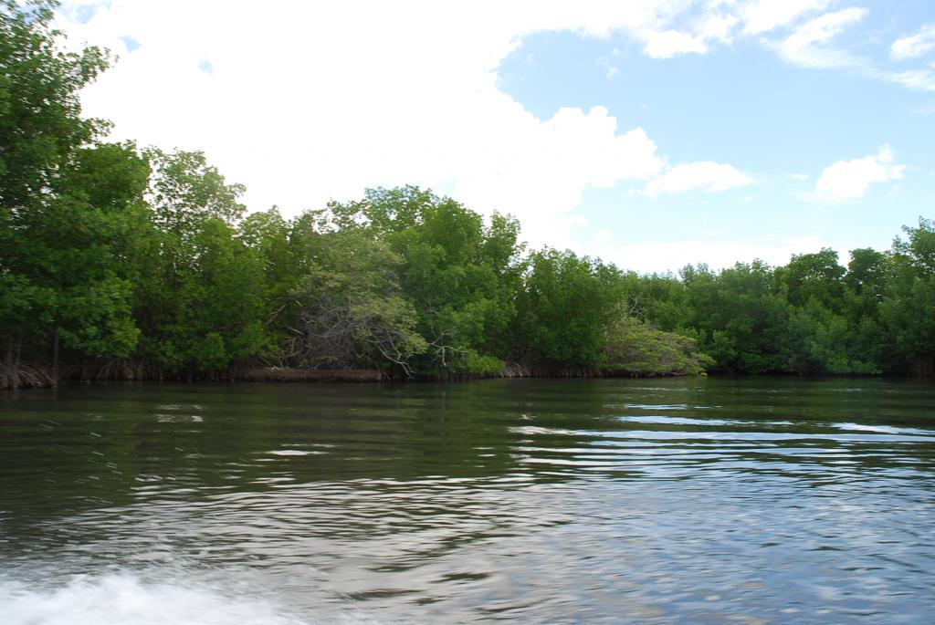 Foto de Isla Margarita, Venezuela