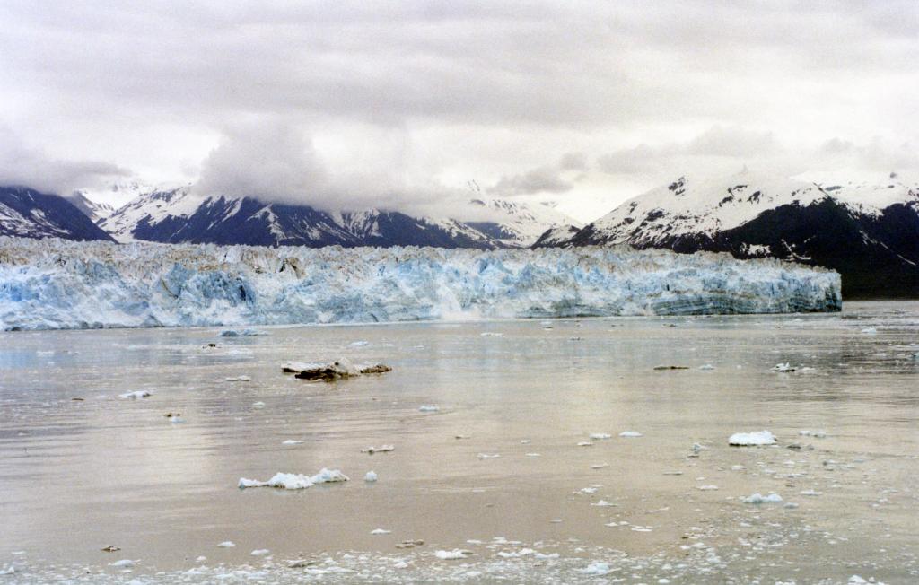 Foto de Parque Nacional Wrangell (St Elias) (Alaska), Estados Unidos