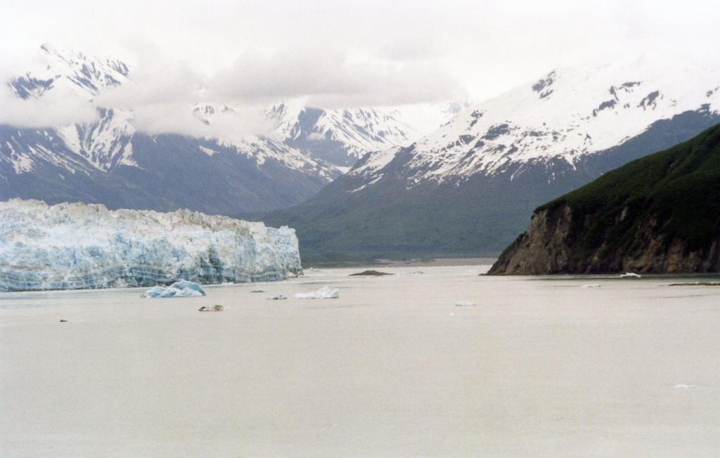 Foto de Parque Nacional Wrangell (St Elias) (Alaska), Estados Unidos