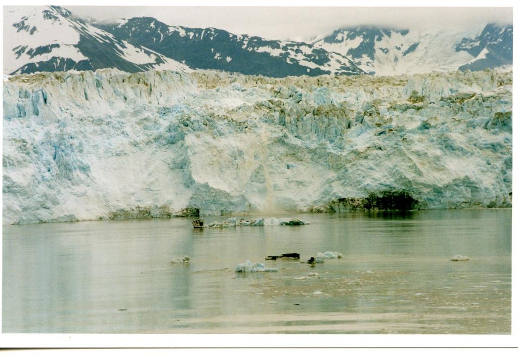 Foto de Parque Nacional Wrangell (St Elias) (Alaska), Estados Unidos