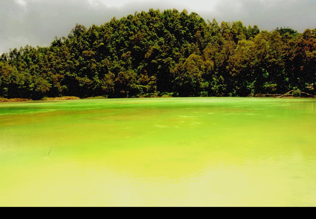 Foto de Dieng, Indonesia