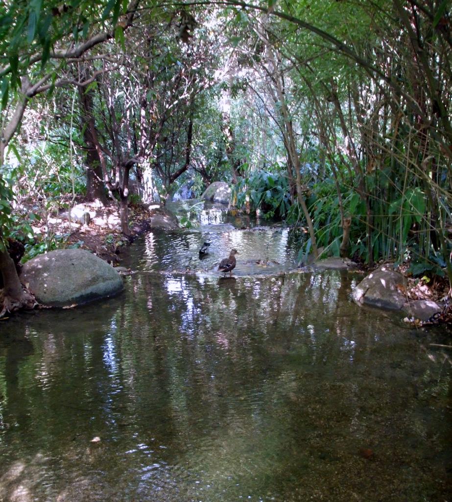 Foto de Lisboa, Portugal
