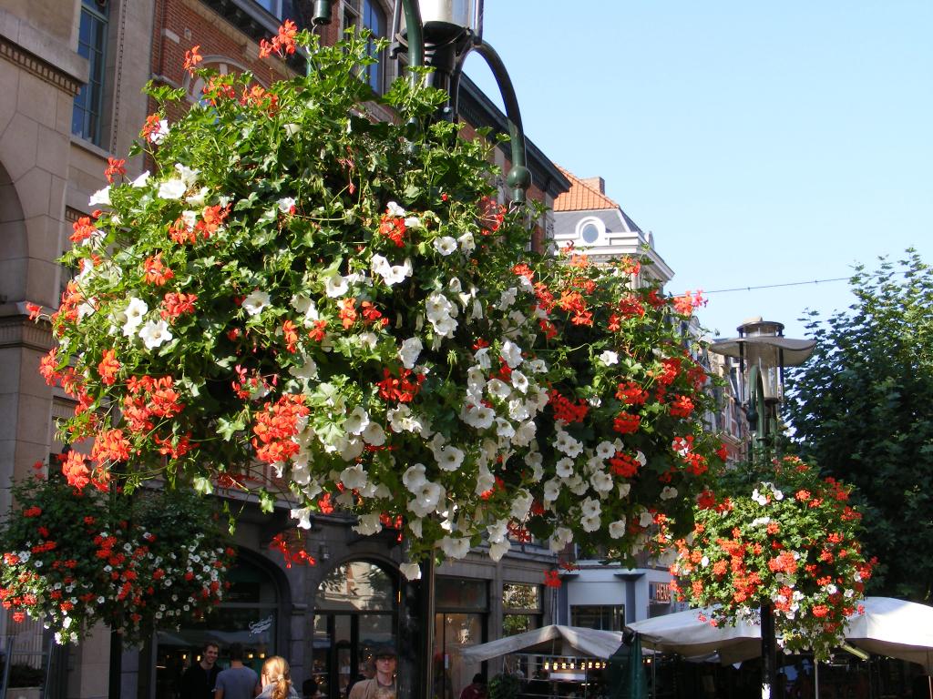 Foto de Lovaina, Bélgica