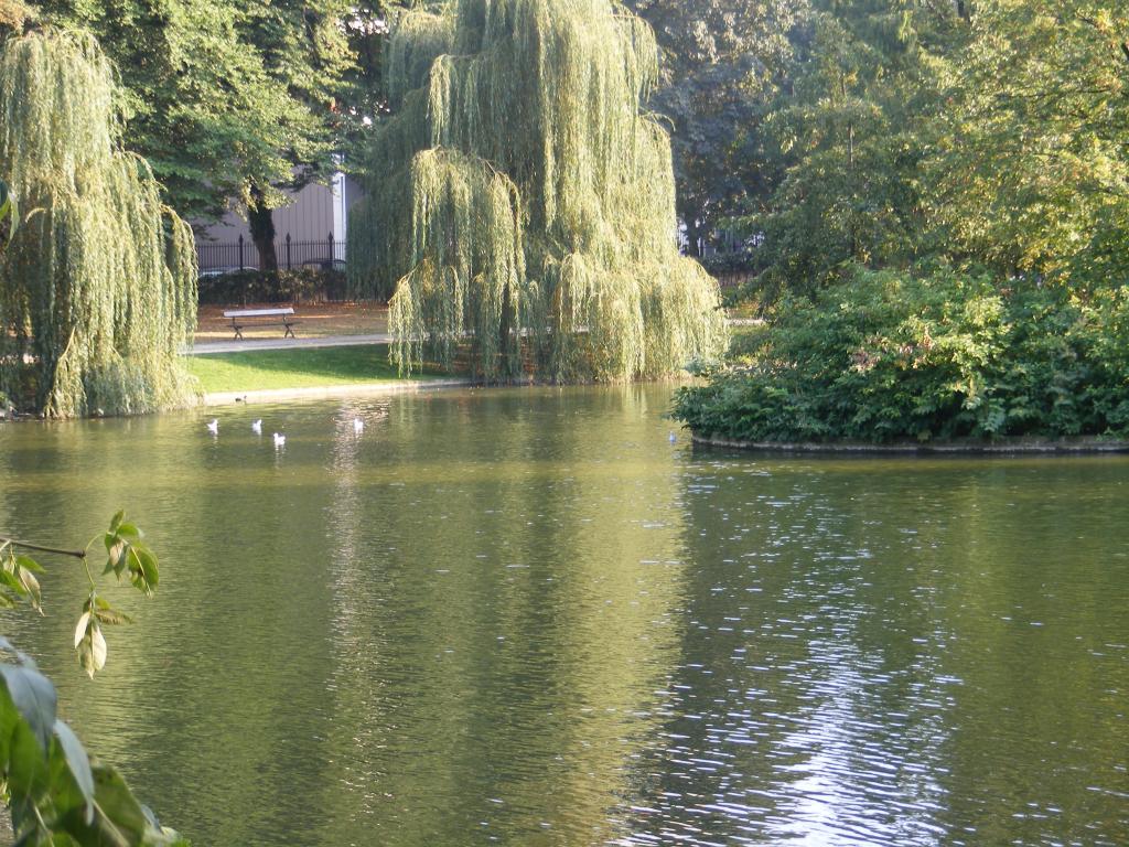 Foto de Bruselas, Bélgica