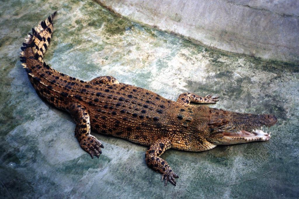 Foto de Langkawi, Malasia