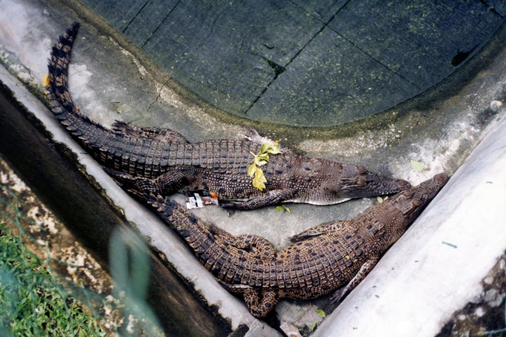 Foto de Langkawi, Malasia