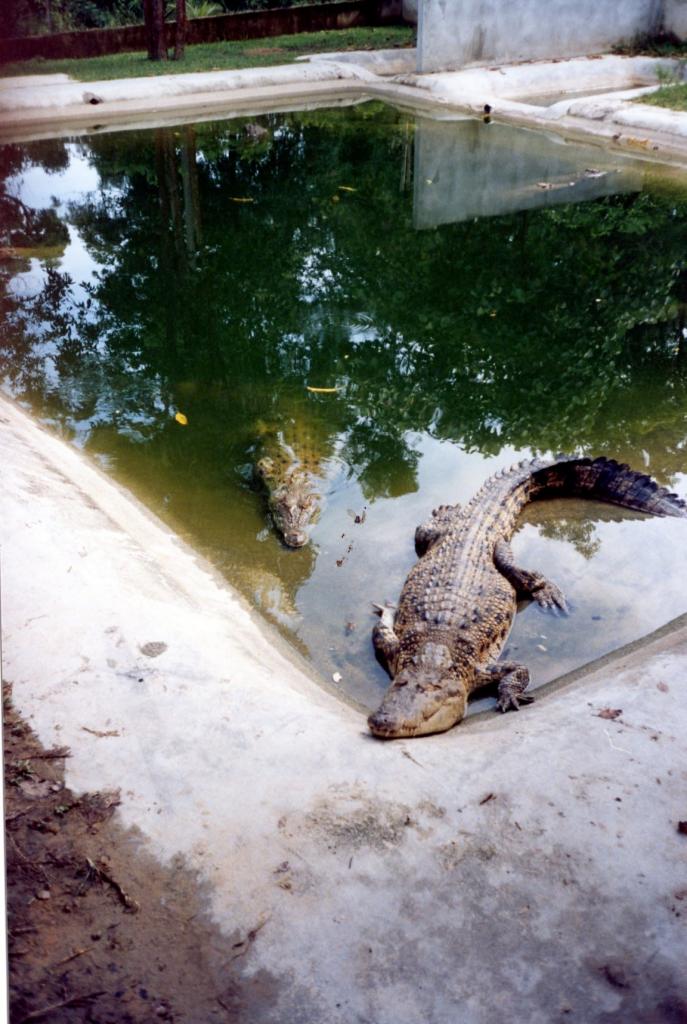 Foto de Langkawi, Malasia