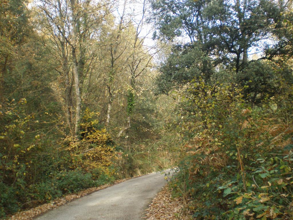 Foto de Tavertet (Barcelona), España