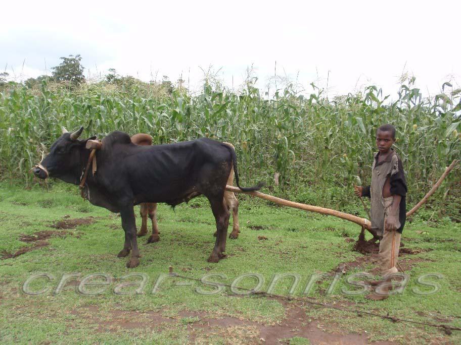 Foto de Dubbo, Etiopía