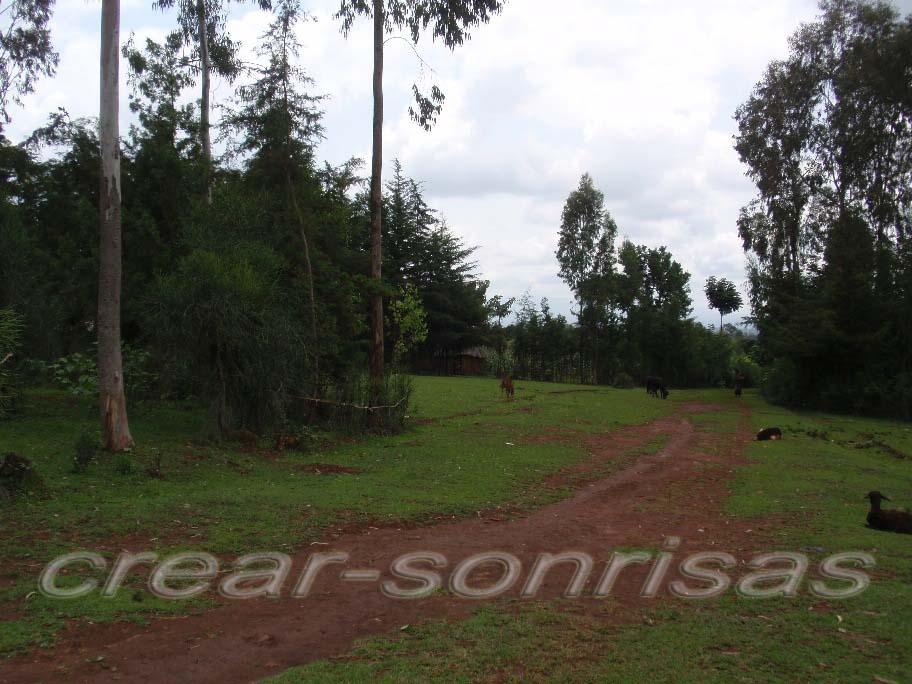 Foto de Dubbo, Etiopía