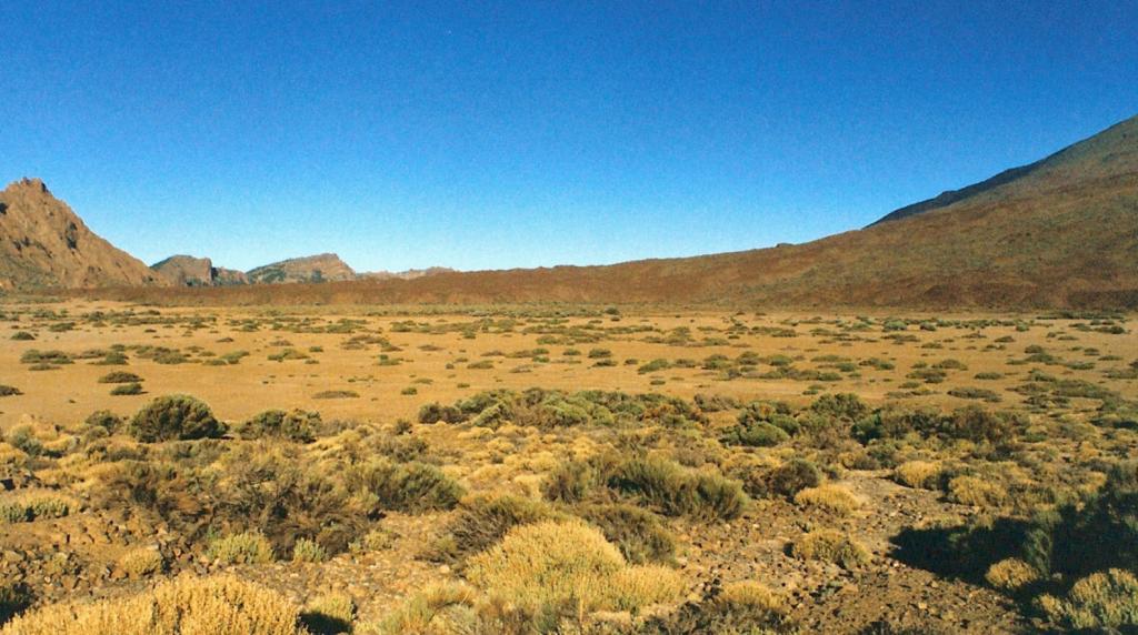 Foto de La Orotava (Santa Cruz de Tenerife), España