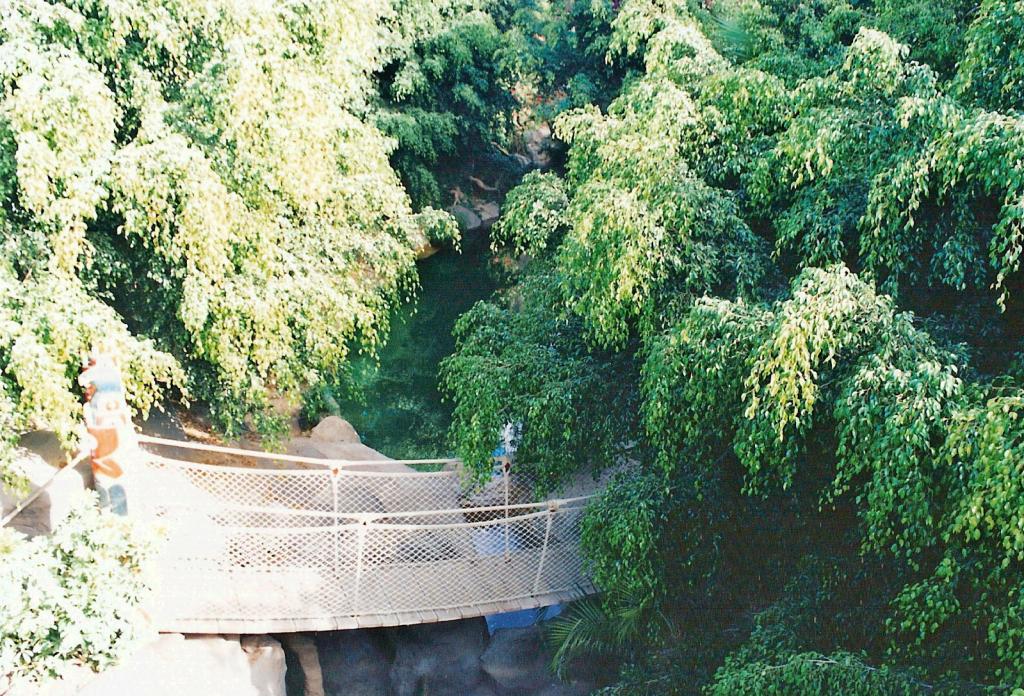 Foto de Arona (Santa Cruz de Tenerife), España
