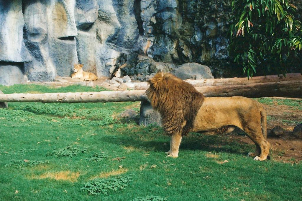 Foto de Arona (Santa Cruz de Tenerife), España