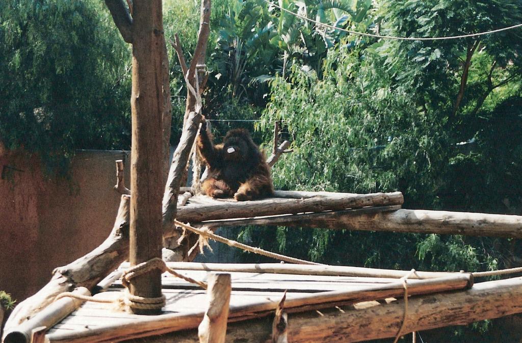 Foto de Arona (Santa Cruz de Tenerife), España